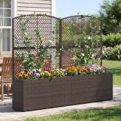 Chậu Trồng Cây & Décor (3)